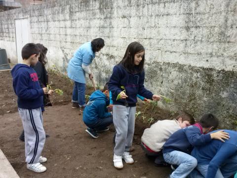 Assistentes operacionais colaboram na preparação da horta.
